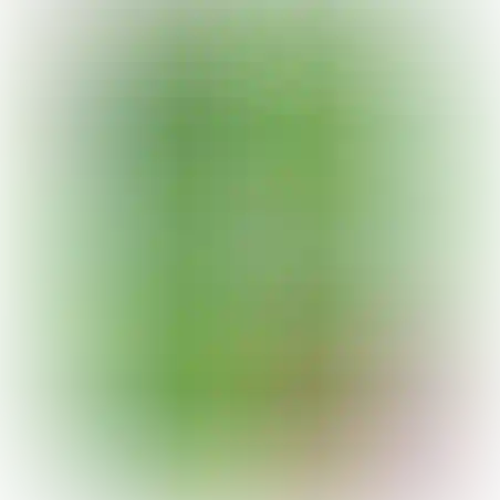 גירים צבעוני 12 יח