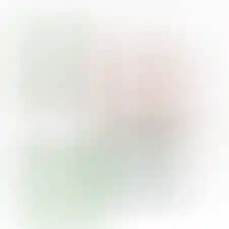 אוריגמי 3D - פלמינגו