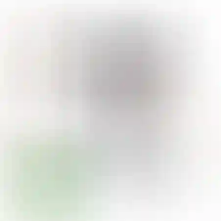אוריגמי 3D - כלב דלמטי