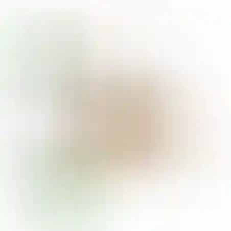 אוריגמי 3D - עקרב