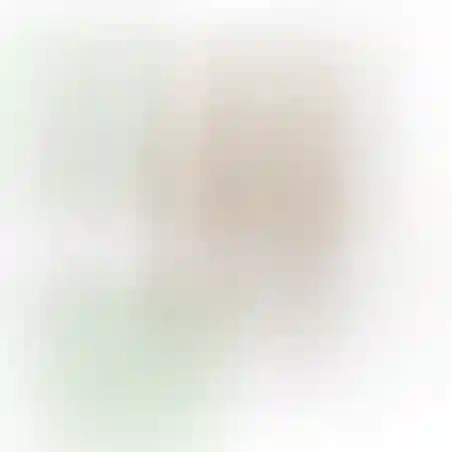 אוריגמי 3D - חתול