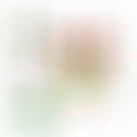 אוריגמי 3D - עציץ פרחים