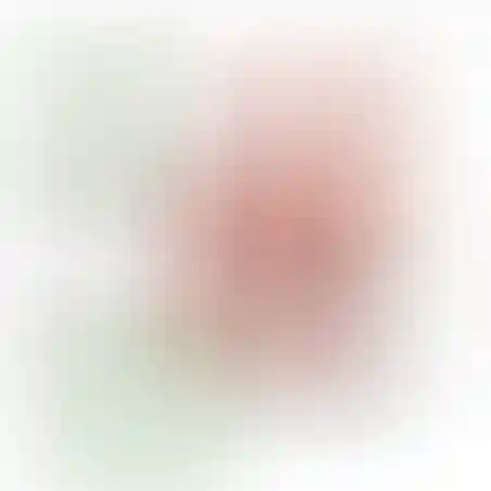 אוריגמי 3D - שועל