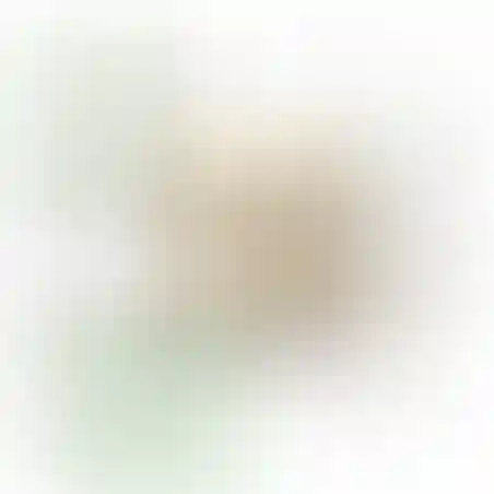 אוריגמי 3D - שבלול