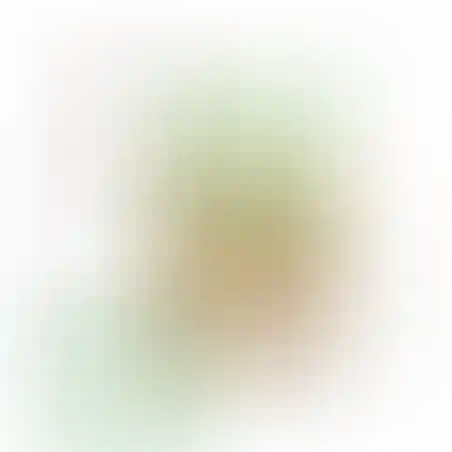 אוריגמי 3D - אננס