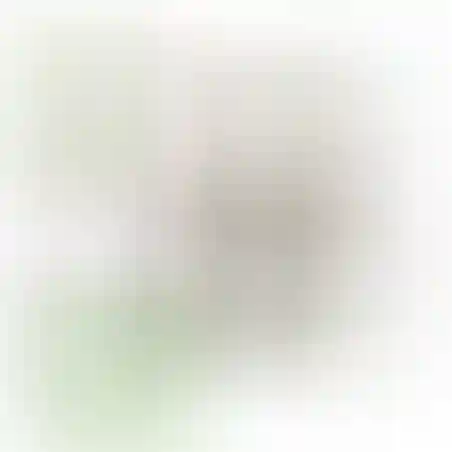 אוריגמי 3D - דבורה ופרפר