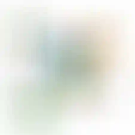 אוריגמי 3D - שפריריות