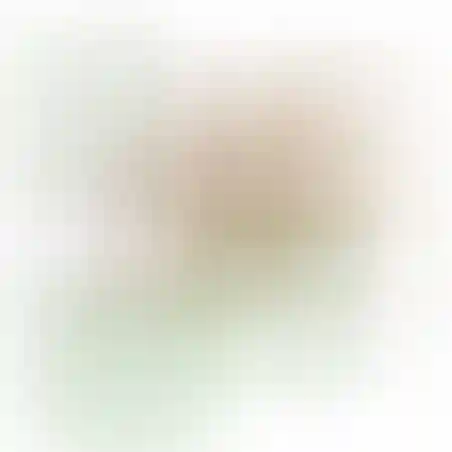 אוריגמי 3D - נשר