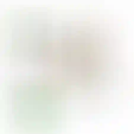 אוריגמי 3D - דולפין