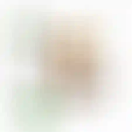 אוריגמי 3D - נחש קוברה