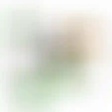אוריגמי 3D - טוקאן
