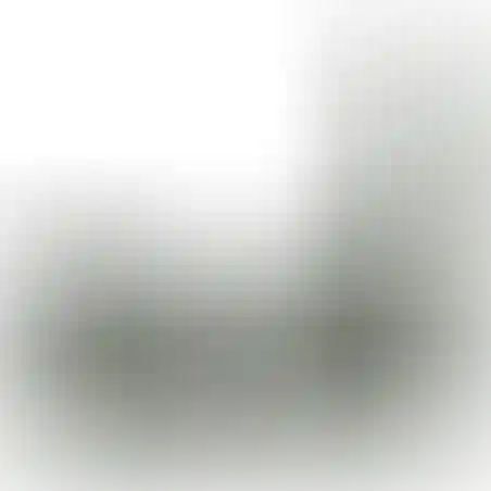 סט פונדות נגב לווסט מרעום דולפין