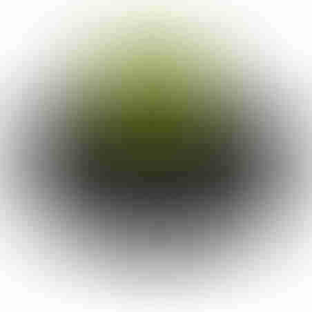 סט כלי אוכל רב פעמיים סיליקון CACTUS
