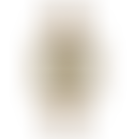 PRINCE שעון נשים