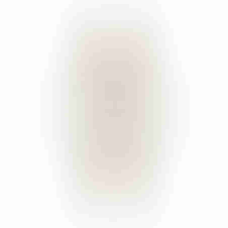 שעון Sussex זהב לאישה GANT דגם G136008
