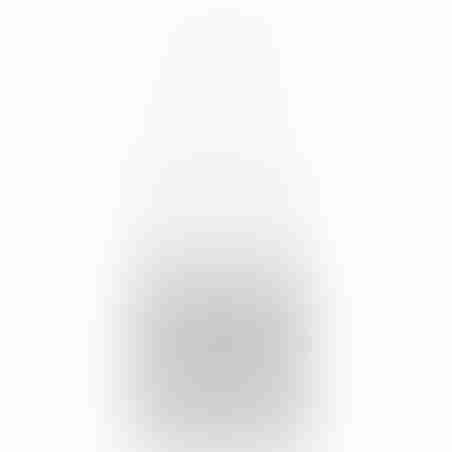 Hamsa