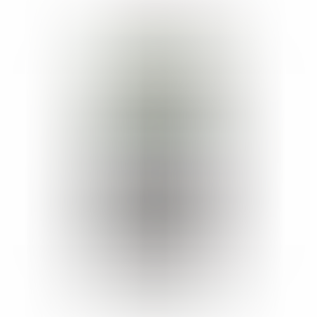 מחשבון פיננסי קסיו CASIO FC-200V