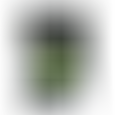 שקף לצילום A4