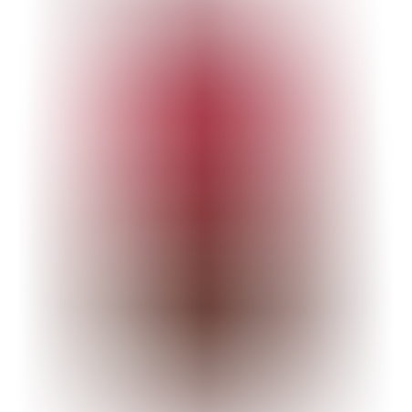 קפה נחלה אדום עם הל 500 גרם