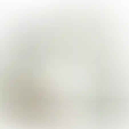 נייר אפייה לבן לתנורים תעשייתיים (1000 יח)