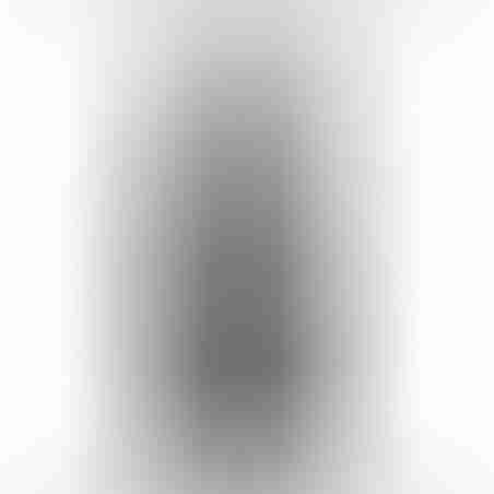 מכשיר הקלטה נייד 4 ערוצים Zoom H5