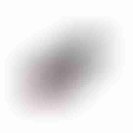 דיסקונקי 32 ג'יגה san disk