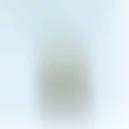שרשרת ישראל עם פרחים מיובשים נירוסטה ושרף