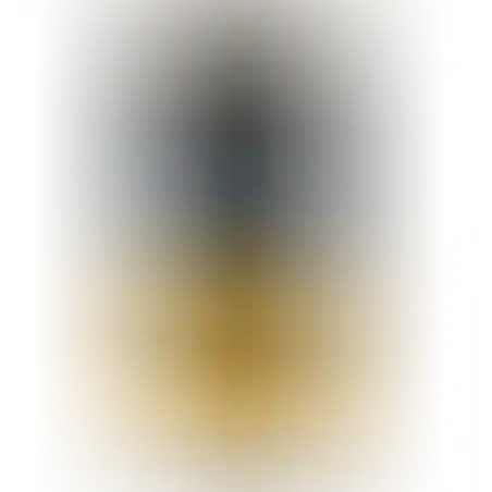 קפסולות אספרסו מור גולד Mor GOLD