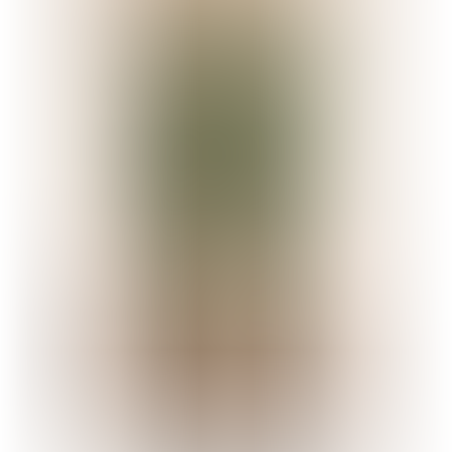 עץ BAMBOO GREEN 150 CM
