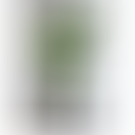 עץ STERLITZIA 95/95/185 CM