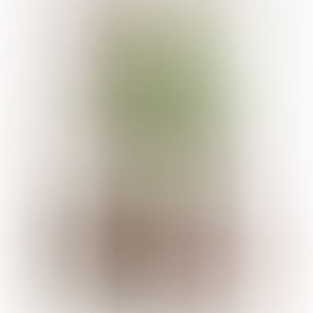 עץ בננה 53/53/190 CM