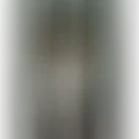 חליפת מונו