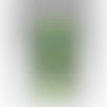 גואש 500 גרם ירוק דשא