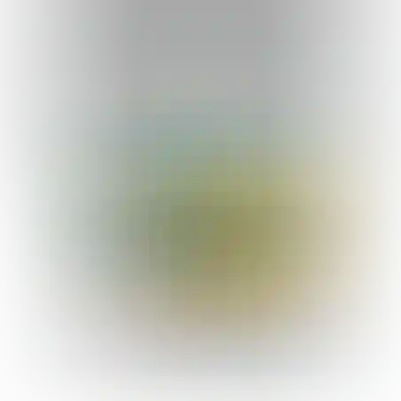 24 טוש ג'מבו אורטופדי