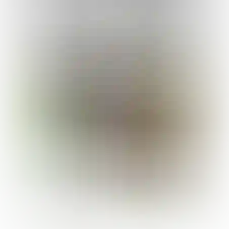 פנקס מעוטר עם שורות