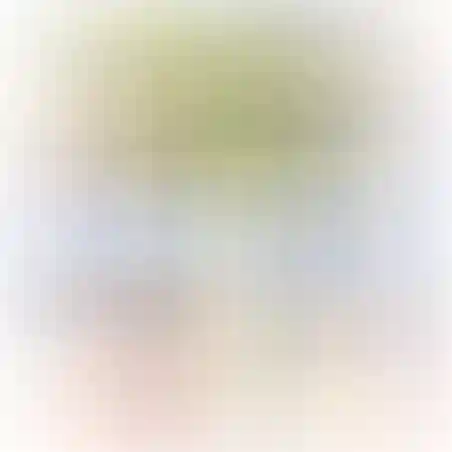 ספרינט