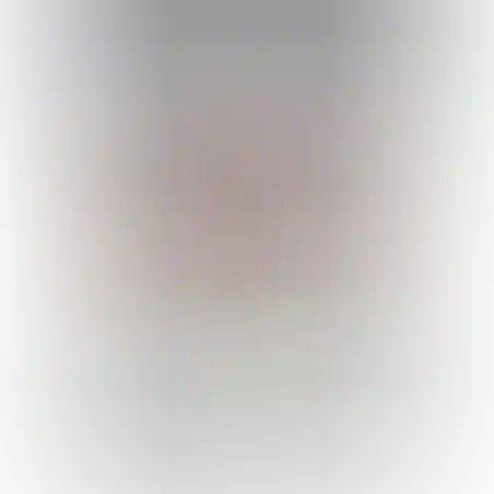 סיכות לאקדח סיכות