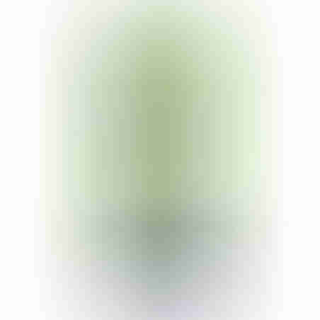 עט למחיקה 2 יח' בבליסט Super White
