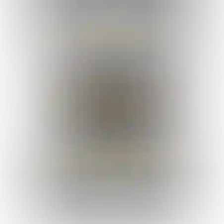 -סיכות 26/6 ( קנגרו ) 3000 יח' (20-200)