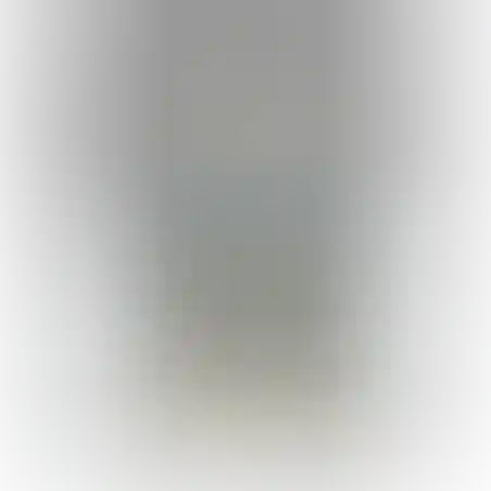 גואש 500 גרם לבן