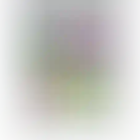 12 טושים פסטל