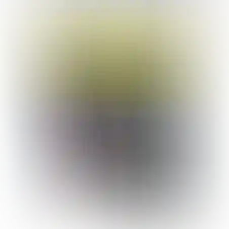 מימיה ליטר וחצי