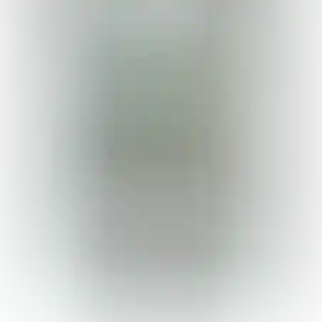 5 גיליונות בריסטול