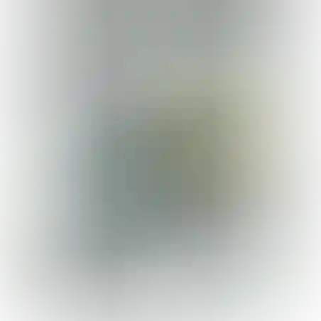 מארז 5 בריסטול גיליון שחור