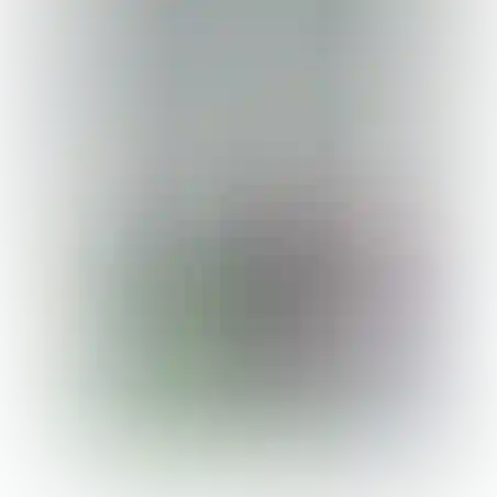מספריים בבליסטר