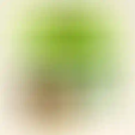 10 מי יודע ממלכת החיות ג'וניור