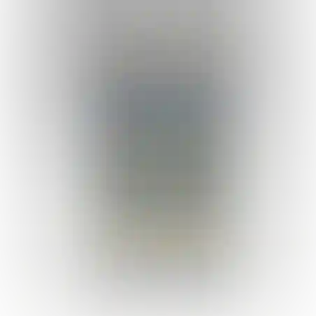 גואש 500 גרם אפור
