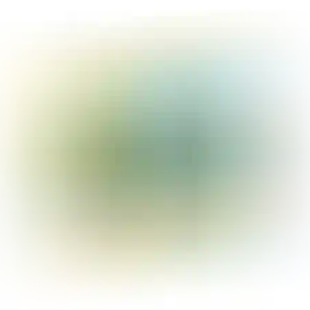רכבת חיות לגיל הרך 1,2,32 (4)