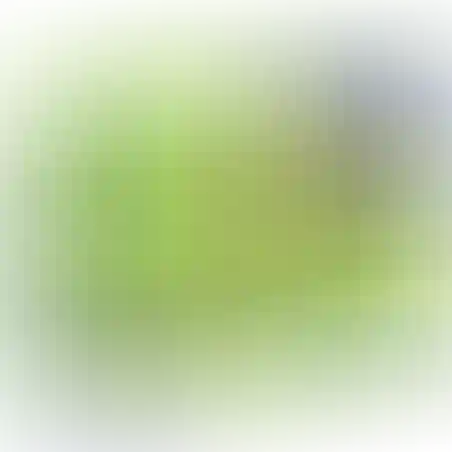 הייטקס סיכות מתפצלות מס.2 19 מ'מ