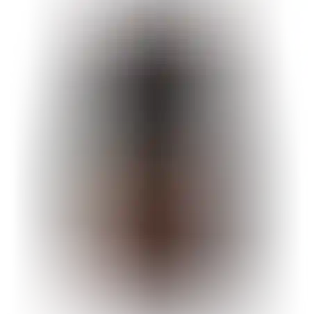 רקס נטורל ראנג' לכלב רגיש סלמון 14 ק